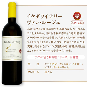 ワイン イケダワイナリー ヴァン・ルージュ（MG）A06-483