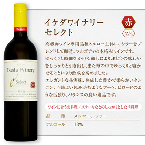 【年内発送】ワイン イケダワイナリー セレクト赤(MG)A09-480