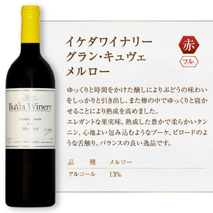 ワイン イケダワイナリー グラン・キュヴェ メルロー（MG）B12-806