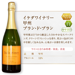 ワイン イケダワイナリー 甲州 ブラン・ド・ブラン（MG）A09-481