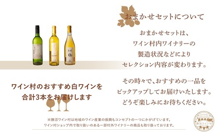 ワイン村 おまかせワイン（白）3本セット（KWV）C5-620