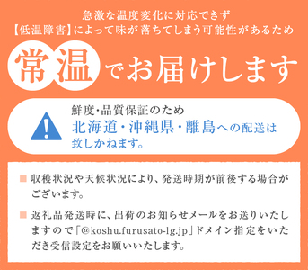 厳選契約農家の一級品 シャインマスカット2kg以上 3～5房【2026年配送】（SFL）C-430 シャインマスカット フルーツ