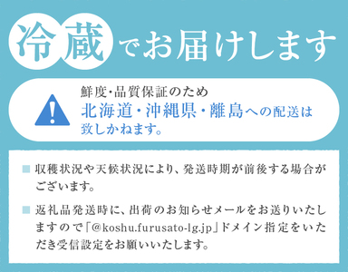 【クール配送】厳選契約農家の一級品 シャインマスカット 1.2kg以上 2~3房【2026年発送】(SFL)B12-430CO シャインマスカット フルーツ
