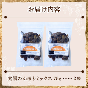 ぶどうの産地勝沼で大人気！みはらしの千果園の干しぶどう2袋（MG）A04-360