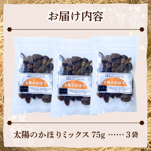 ぶどうの産地勝沼で大人気!みはらしの千果園の干しぶどう3袋(MG)A07-360