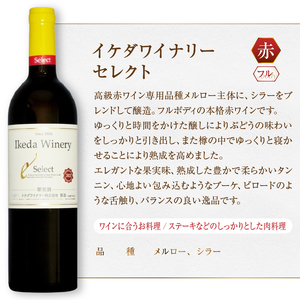 ワイン イケダワイナリー 2本セット【ヴァン・ルージュ / セレクト赤】（MG）B15-750