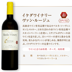 ワイン イケダワイナリー 2本セット【ヴァン・ルージュ / 樽熟甲州】（MG）B12-670