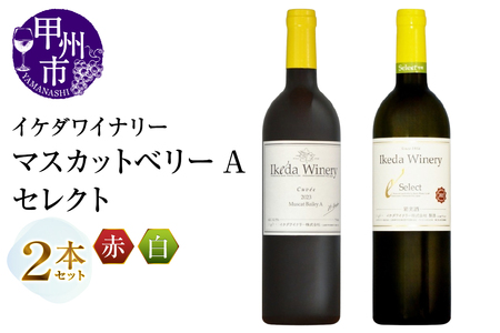 ワイン イケダワイナリー 2本セット【マスカットベリーA / セレクト白】（MG）B14-662