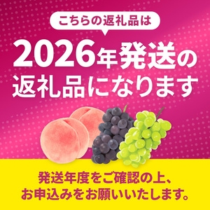 新鮮産直！甲州市・シャインマスカット3回定期便【2026年発送】（KSF）D5-125 シャインマスカット フルーツ
