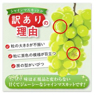 【訳あり】甲州市産シャインマスカット1kg以上 2～4房【2026年発送】（ATP）A09-820 シャインマスカット フルーツ