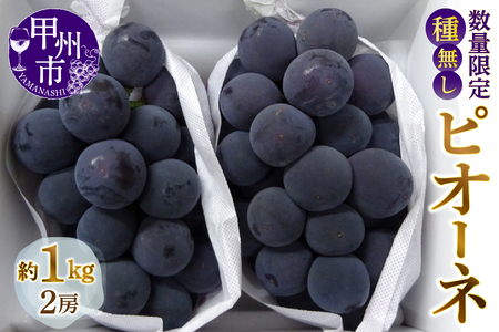 甲州市産 種なしピオーネ 約1kg【2026年発送】（MG）B-882【種なし ピオーネ ぶどう 葡萄 ブドウ 令和8年発送 期間限定 山梨県産 甲州市 フルーツ 果物】