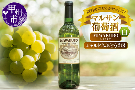 ワイン マルサン葡萄酒 シャルドネワイン＆シャルドネぶどう ちょっとニッチなセットになります！（MG）B13-669