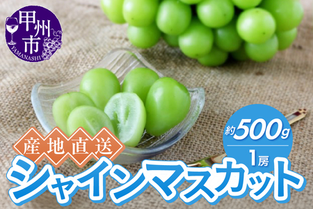 産地直送やみつきシャインマスカット 約500g（1房）【2026年発送】（RC）A06-001 シャインマスカット フルーツ
