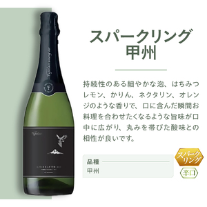 ワイン フジクレールワイナリー スパークリング甲州（RC）B12-640