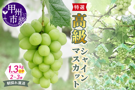 B 490 特選高級シャインマスカット 朝採れ直送1 2kgup 2 3房 Kkh 山梨県甲州市 ふるさと納税サイト ふるなび