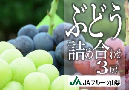 B2-103.JAフルーツ山梨ぶどう詰め合わせ3房