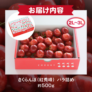 大粒さくらんぼ童夢の「紅秀峰」バラ詰め（約500g 2L～3L）【2025年発送】（DOM）C-141