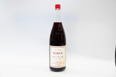 蒼龍葡萄酒一升瓶ワイン赤白2本セット（MG）B16-652