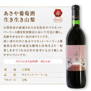 ワイン 麻屋葡萄酒テーブルワイン赤白2本セット(MG)　B-696