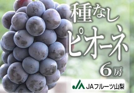 C-108.JAフルーツ山梨種なしピオーネ6房