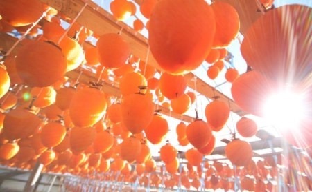 JAフルーツ山梨 甲州市産枯露柿12～15個【60】【2026年発送】B2-101 