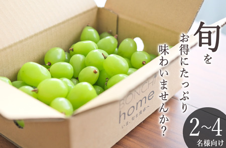 甲州市産 たっぷり粒詰めシャインマスカット 約1kg 自然農法 【2025年発送】（BNC）B18-426 シャインマスカット フルーツ