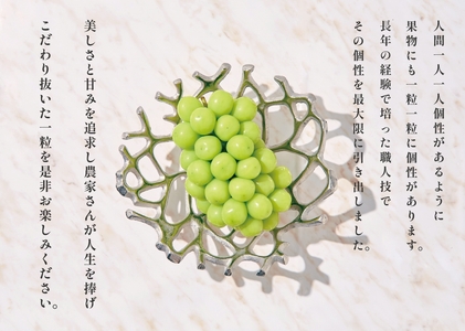 甲州市産 たっぷり粒詰めブドウMIX(シャインマスカット×ピオーネ)約2kg 自然農法【2025年発送】(BNC)D-175 シャインマスカット ピオーネ フルーツ