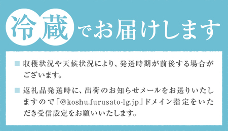 甲州市産 大玉桃 2個入り 900g以上 自然農法【2026年発送】（BNC）B-444 桃 フルーツ