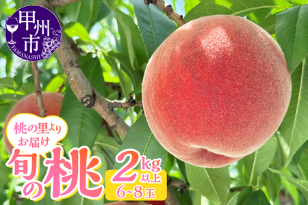 新鮮な桃 7.5キロ もも 山梨県産 送料無料 朝取 新鮮 農家直送 桃 1.4kg箱 (4〜5玉