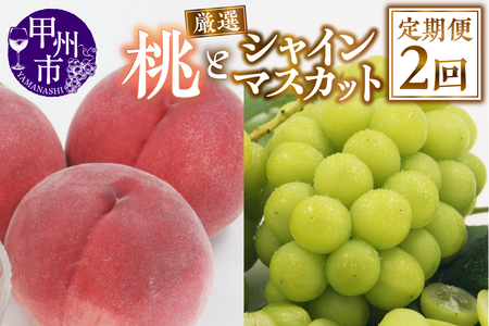 【定期便】甲州市産 厳選 もも×シャインマスカット『フルーツ定期2回便』【2026年発送】（APX）C-175 桃 シャインマスカット フルーツ