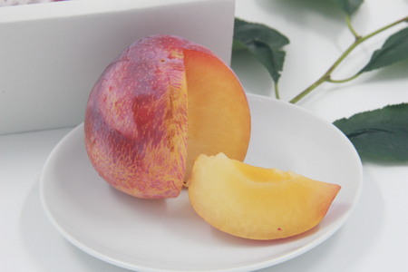 甲州市産 すもも『貴陽』約1.5kg（化粧箱中玉7～10玉）【2025年