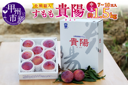 【宿沢フルーツ農園】すもも『貴陽』約1.5kg 化粧箱中玉（7～10玉）【2025年発送】（SF）B12-143【すもも スモモ 令和7年発送 期間限定 山梨県産 甲州市 フルーツ 果物】