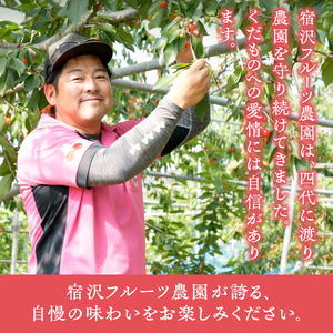 【宿沢フルーツ農園】山梨のフルーツ定期便3回コース 1~2名様用【2026年発送】(SF)D-148 桃 すもも ぶどう