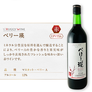 大和葡萄酒が贈る『十二原メルロー』『ベリー瑛』赤ワイン２本セット（MG）B15-694