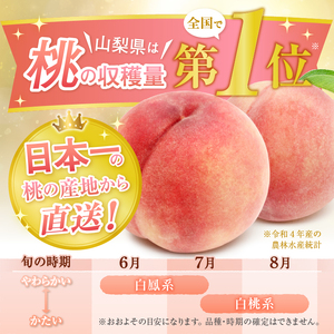 甲州市産 厳選！桃と黄金桃の食べ比べセット 約2kg（5～8玉）【2024年発送】（APX）B12-196