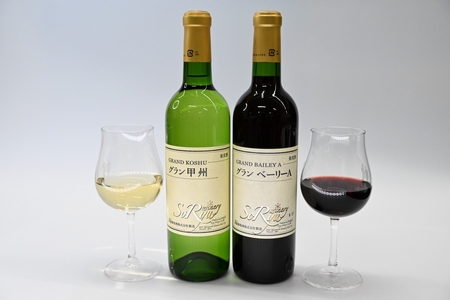 蒼龍葡萄酒テーブルワイン赤白2本セット(MG)B12-660