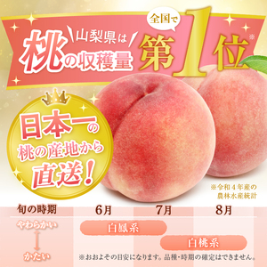 農林水産大臣賞経験のある最高品質の桃を感謝を込めて朝どれでお贈りします！約2kg（4～7玉）【2025年発送】（LMS）B12-475【大藤の桃 桃 もも モモ 令和7年発送 期間限定 山梨県産 甲州市 フルーツ 果物】