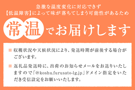 農林水産大臣賞経験のある最高品質の桃を感謝を込めて朝どれでお贈りします！約2kg（4～7玉）【2025年発送】（LMS）B12-475【大藤の桃 桃 もも モモ 令和7年発送 期間限定 山梨県産 甲州市 フルーツ 果物】