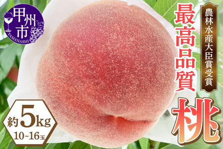 農林水産大臣賞受賞経験のある最高品質の桃を感謝を込めて朝どれでお贈りします！約5kg（10～16玉）【2026年発送】（LMS）D-170 桃 フルーツ