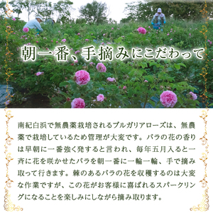 バラ梅酒スパークリング 720ｍl（AZF）B-718