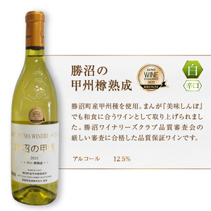 ワイン 『ﾙﾊﾞｲﾔｰﾄ』『蒼龍葡萄酒』が贈る甲州ワイン勝沼ボトル2本セット（MG）B15-697