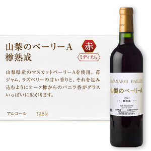 蒼龍葡萄酒が贈る『山梨のベーリーA』赤ロゼ2本セット（MG）B13-652