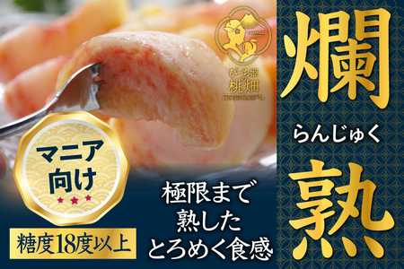 【累計20,000件突破】フルーツ王国山梨が誇る白桃ブランド 爛熟桃 約1.5kg【2026年発送】（PMK）H7-101 【白桃 桃 もも モモ 令和8年発送 期間限定 山梨県産 甲州市 フルーツ 果物】 6,930円