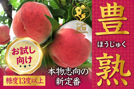 【累計20,000件突破】フルーツ王国山梨が誇る白桃ブランド 豊熟桃 約1kg【2026年発送】（PMK）B18-101  【白桃 桃 もも モモ 令和8年発送 期間限定 山梨県産 甲州市 フルーツ 果物】