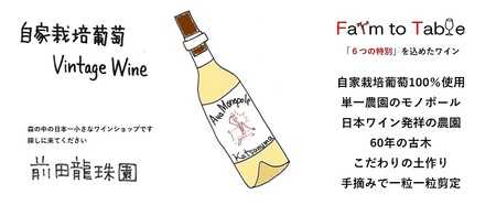 【至高の深み】古樹甲州白ワイン アヤマセラシオンペリキューレトロワジョー（MRF）B19-830