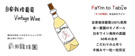 【香高くスッキリ】 自家栽培古樹甲州 アヤモノポール 白ワイン（MRF）B17-830