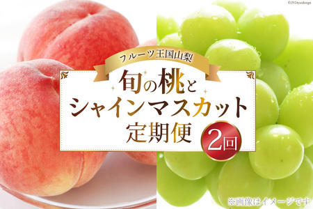 【期間限定発送】【旬の桃とシャインマスカットの2回定期便】令和7年 桃約2kg（5～6玉）、シャインマスカット約1.8kg（2～4房） [株式会社えべし 山梨県 中央市 21470869] ぶどう 桃 フルーツ 果物 くだもの ブドウ シャイン マスカット もも 葡萄 期間限定 季節限定 【2026年6月下旬-10月下旬発送予定】