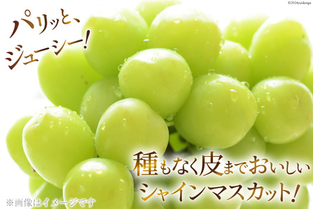 【期間限定発送】【旬の桃とシャインマスカットの2回定期便】令和7年 桃約2kg（5～6玉）、シャインマスカット約1.8kg（2～4房） [株式会社えべし 山梨県 中央市 21470869] ぶどう 桃 フルーツ 果物 くだもの ブドウ シャイン マスカット もも 葡萄 期間限定 季節限定 【2026年6月下旬-10月下旬発送予定】