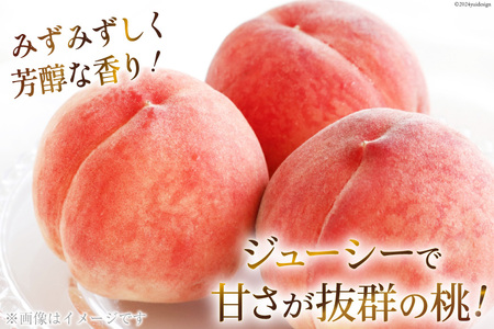 【期間限定発送】【旬の桃とシャインマスカットの2回定期便】令和7年 桃約2kg（5～6玉）、シャインマスカット約1.8kg（2～4房） [株式会社えべし 山梨県 中央市 21470869] ぶどう 桃 フルーツ 果物 くだもの ブドウ シャイン マスカット もも 葡萄 期間限定 季節限定 【2026年6月下旬-10月下旬発送予定】