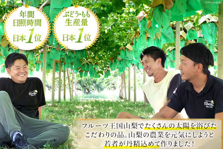 【期間限定発送】【旬の桃とシャインマスカットの2回定期便】令和7年 桃約2kg（5～6玉）、シャインマスカット約1.8kg（2～4房） [株式会社えべし 山梨県 中央市 21470869] ぶどう 桃 フルーツ 果物 くだもの ブドウ シャイン マスカット もも 葡萄 期間限定 季節限定 【2026年6月下旬-10月下旬発送予定】